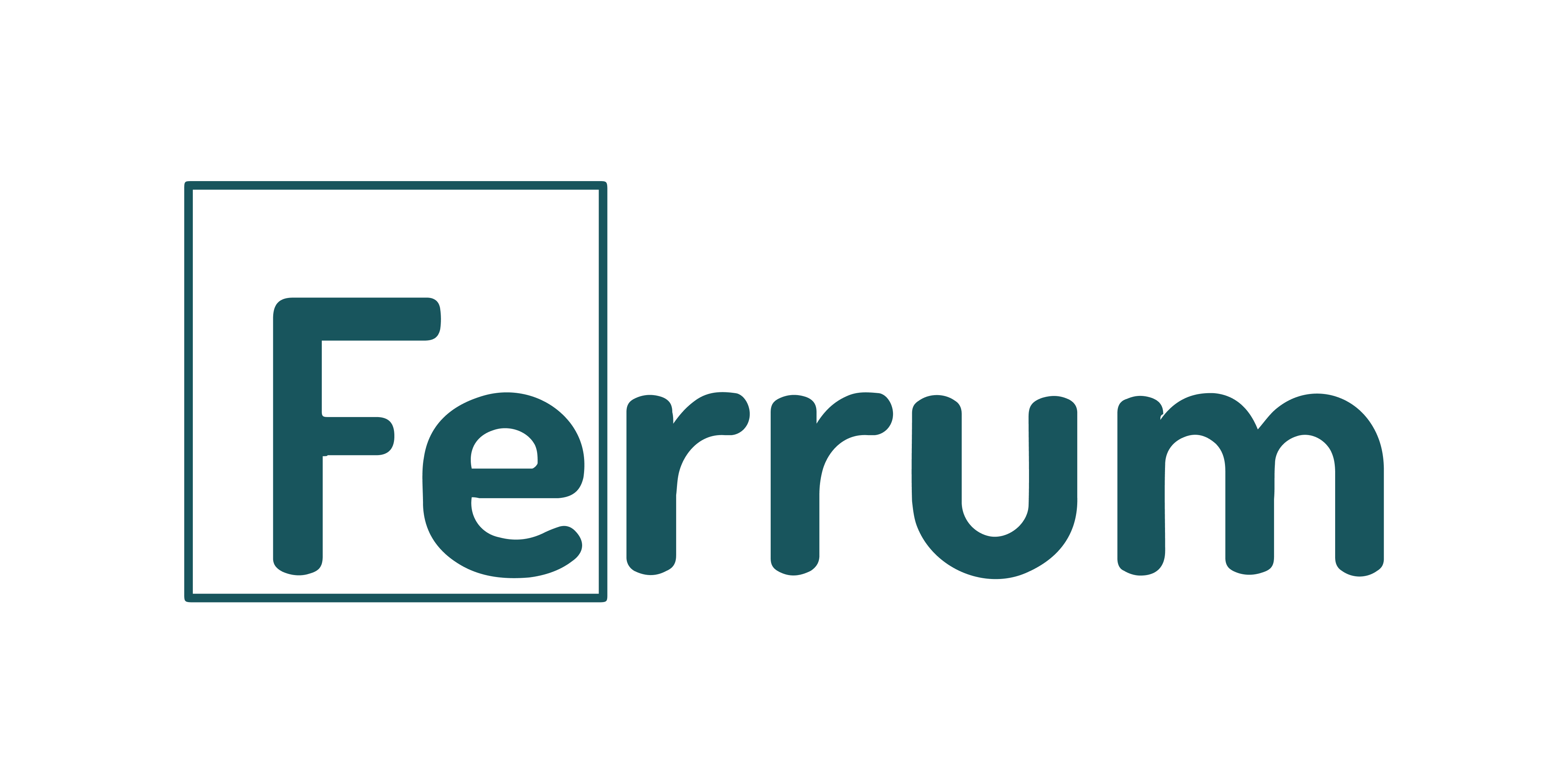 Ferrum Health